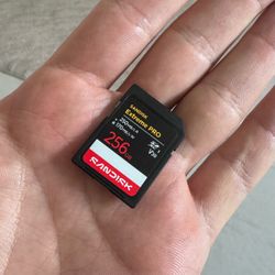 SD CARD 256gb sandisk
