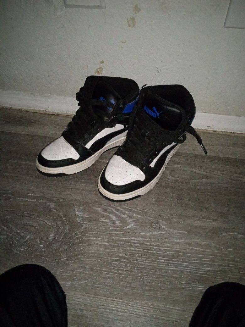 Puma