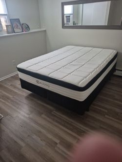 Queen Bed Split Box Spring 