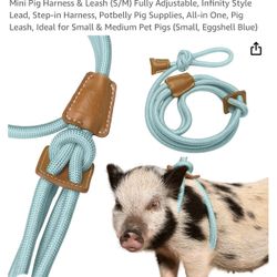 Mini Pig Harness & Leash