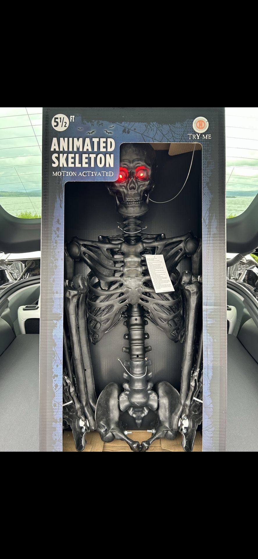 5.5 Foot ft Ultra Animated Skeleton Home Accents Depot Halloween 5 1/2 Ft BLACK