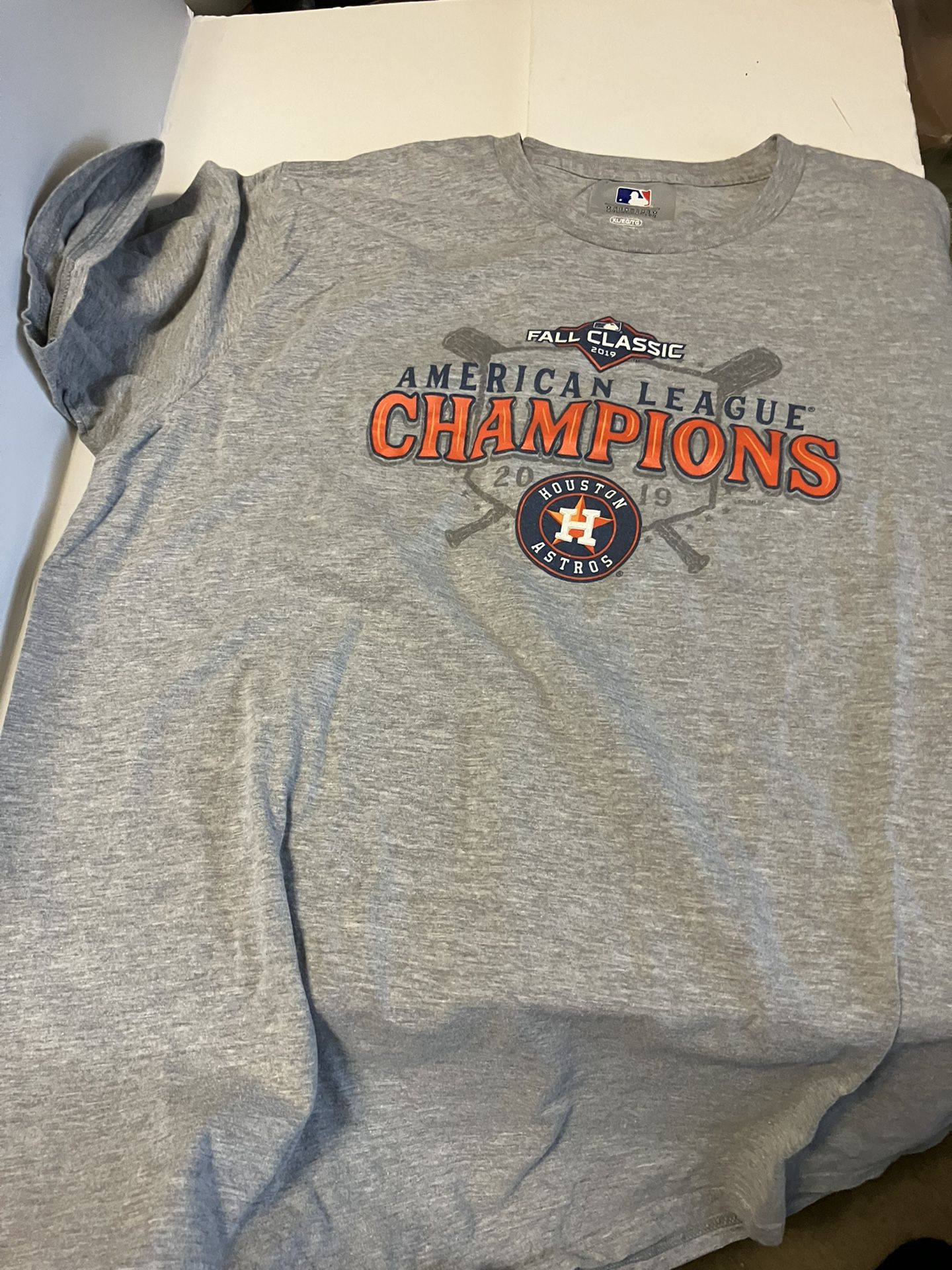 Houston Astros 2019 American League Champions XL 