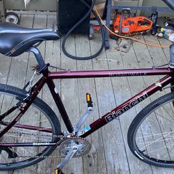 BIANCHI  BOARDWALK  Campeão e Del Mundo Hybrid  Bike Frame 21 Inches 54 Cm Weels 700x38c