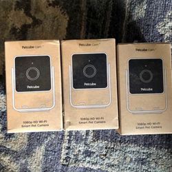 Pet Cameras 
