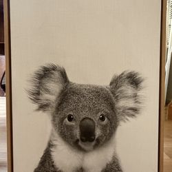 Koala Framed Picture