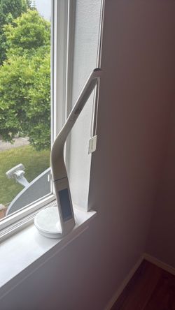 Ottlite Lamp