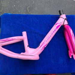 Specialized Balance  Bike Frame 