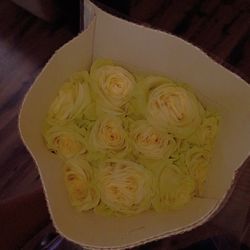 Flores 12 Por $5 Dlls O La Caja Por $35