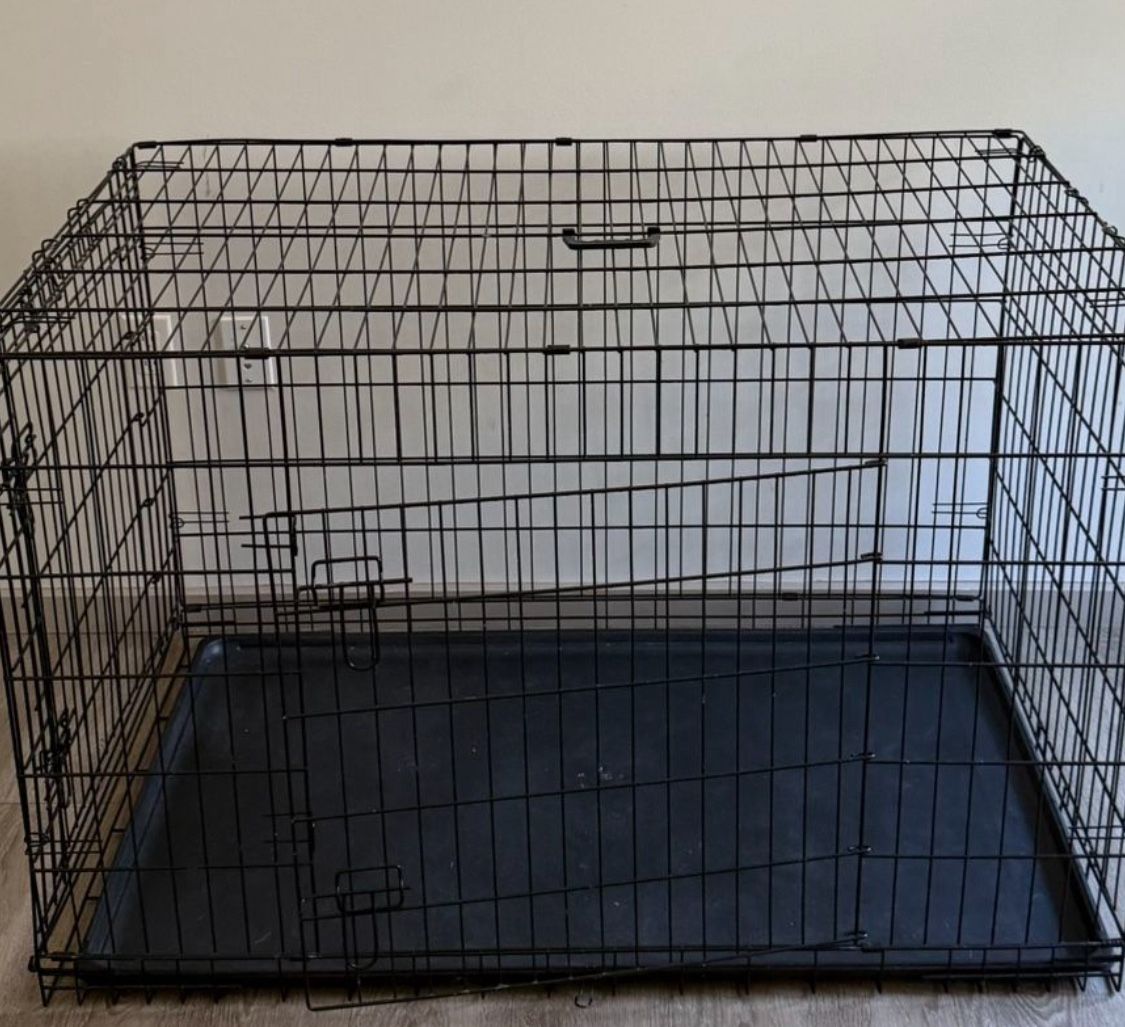 dog kennel
