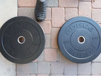 Rogue HG 2.0 2x45Bumper Plates