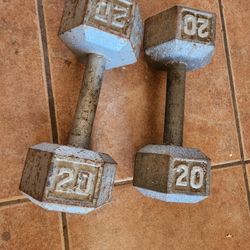 20Lb Dumbell Set "Will trade for a 35Lb dumbell