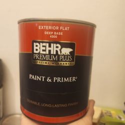 Bher Paint  1 Quart  "No More Drama"