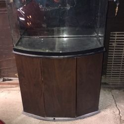 It A 30 gallon fish tank