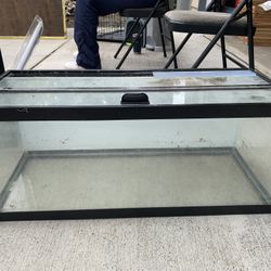 Fish Tanks