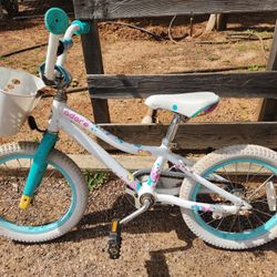 16" Girl and Boy Bikes