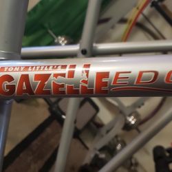 Gazelle Glider Exercise equipment