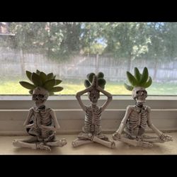 Three Yogi Skeletons 