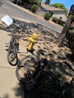 Bikes free on Gary n starlight
