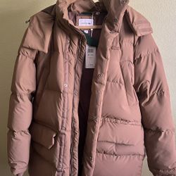 Lacoste Puff Jacket For Men