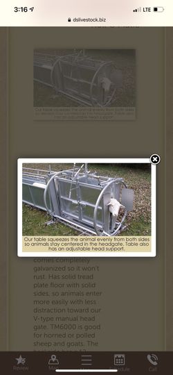 Sheep Handling System