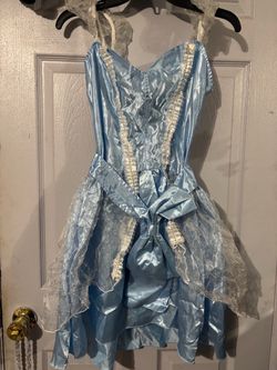 Women’s Cinderella costume