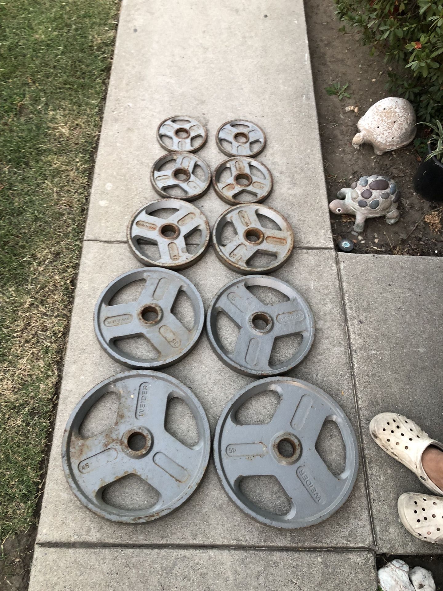 Weider Olympic Hammertone Weight Plates set