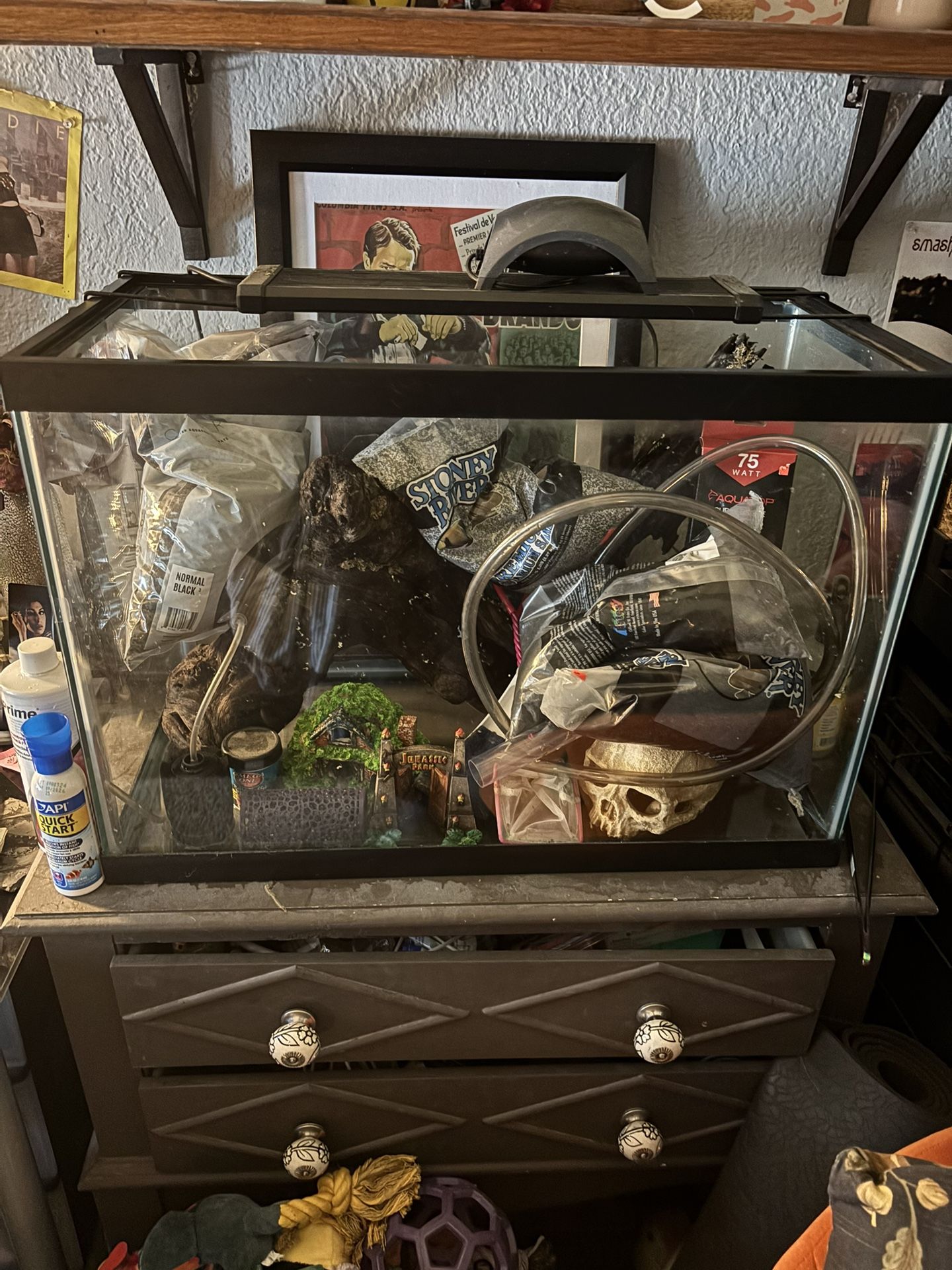20 Gallon Aquarium w/ Supplies