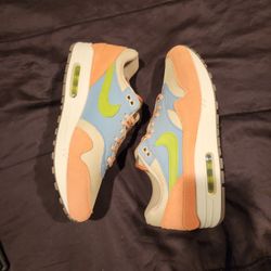 Nike Air Max 'Light Madder Root' Size 12 DS