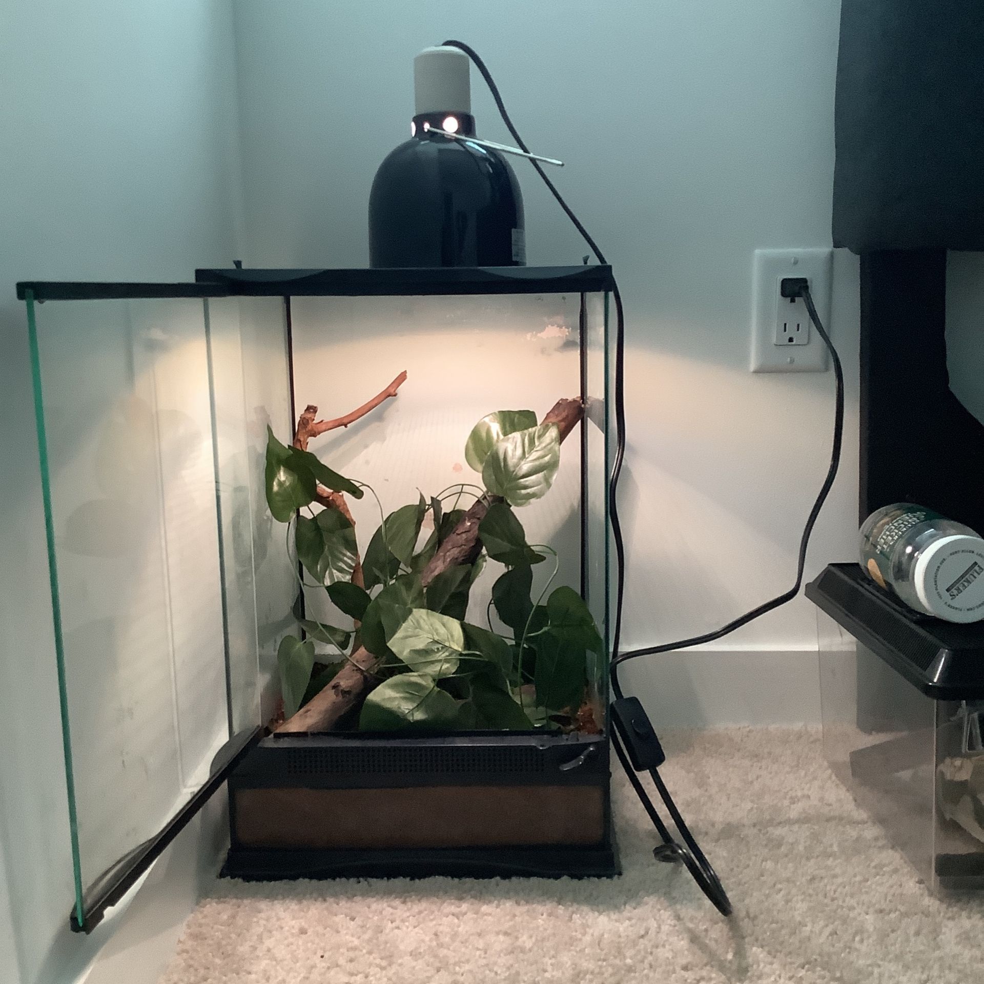 Reptile Tank 12x12x18 Pet carriers & Houses - Pet carriers & Houses