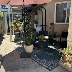Patio/Garden Sale