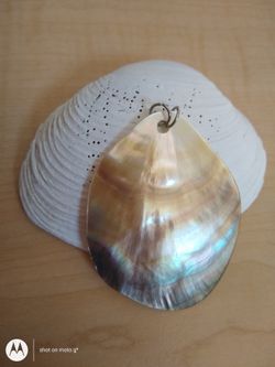 Real Shell Pendant
