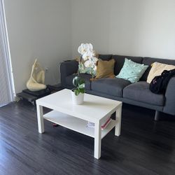 West Elm Fairly New Sofa 