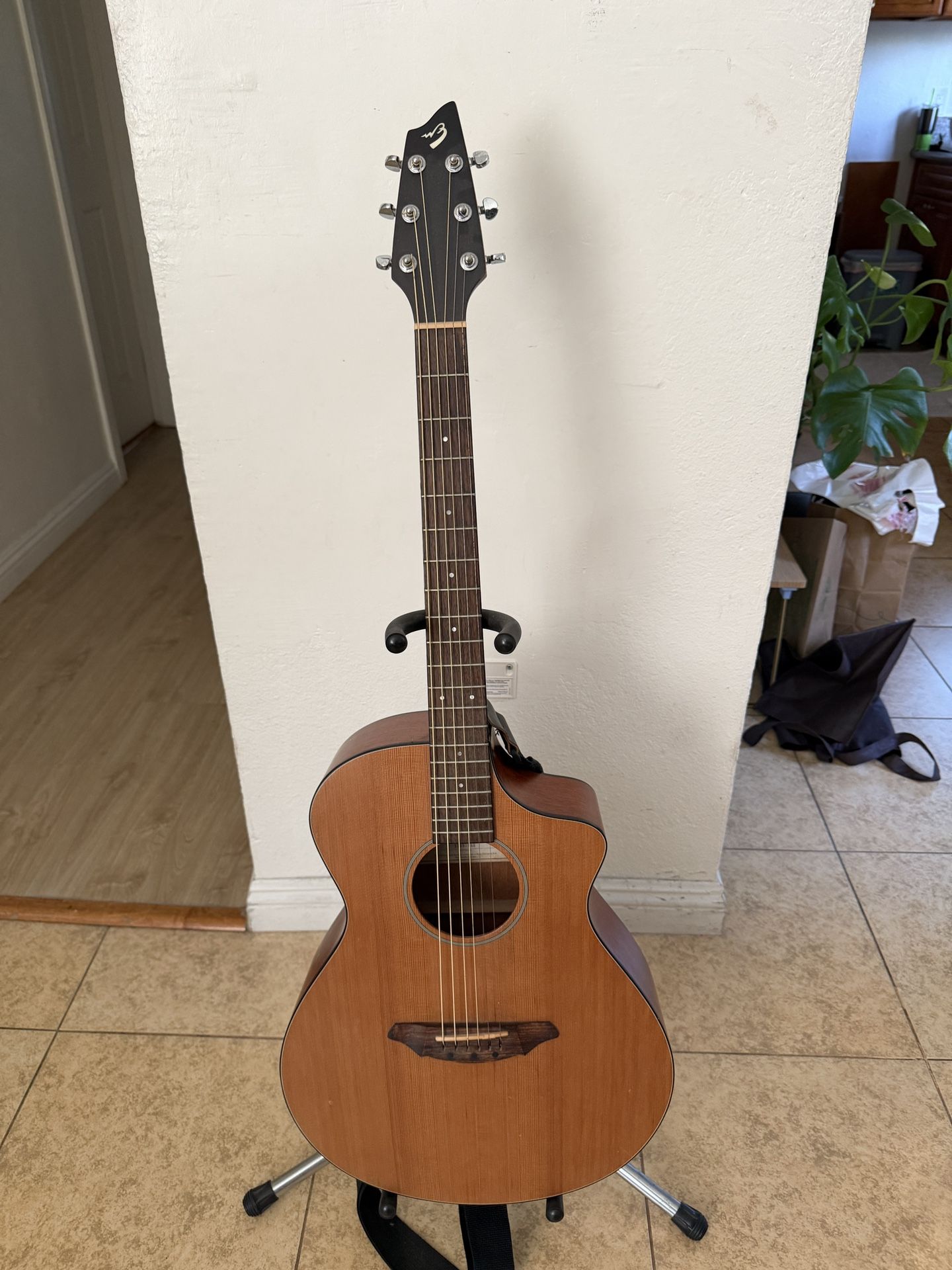 Breedlove Guitar C250/Cme Electric Acoustic