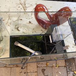 Fish Tank 
