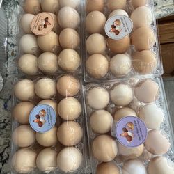 Farm Eggs!