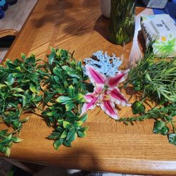 Reptile Fountain And Reptile Plants 