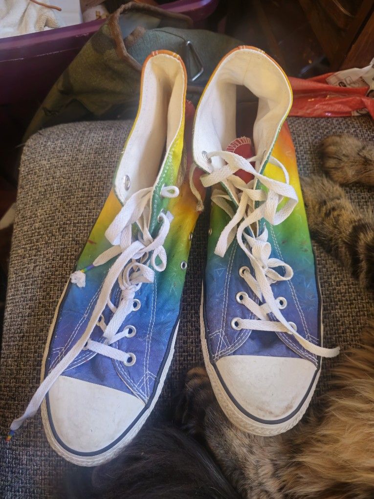 Rainbow Gay Queer Converse