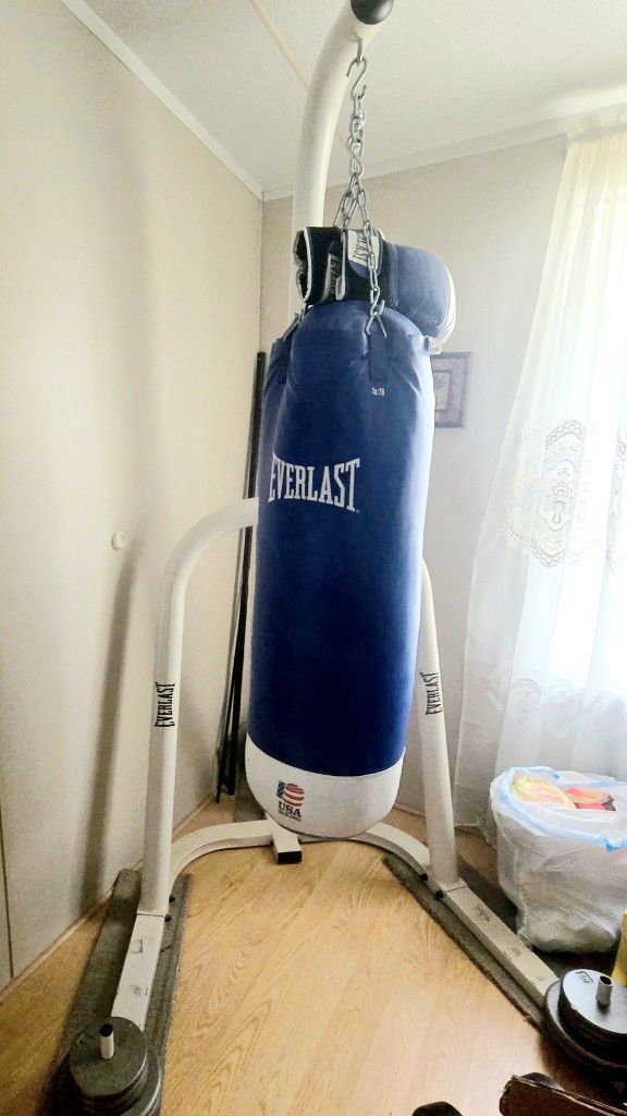Everlast Punching Bag, Stand, and Gloves