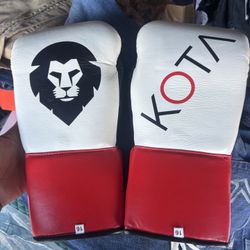 Kota Boxing Sparring MMA Gloves