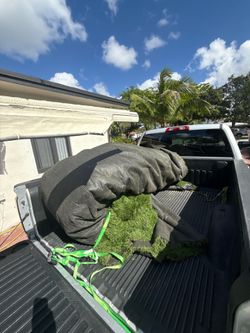 Fake Turf