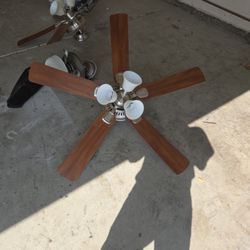 Ceiling Fans