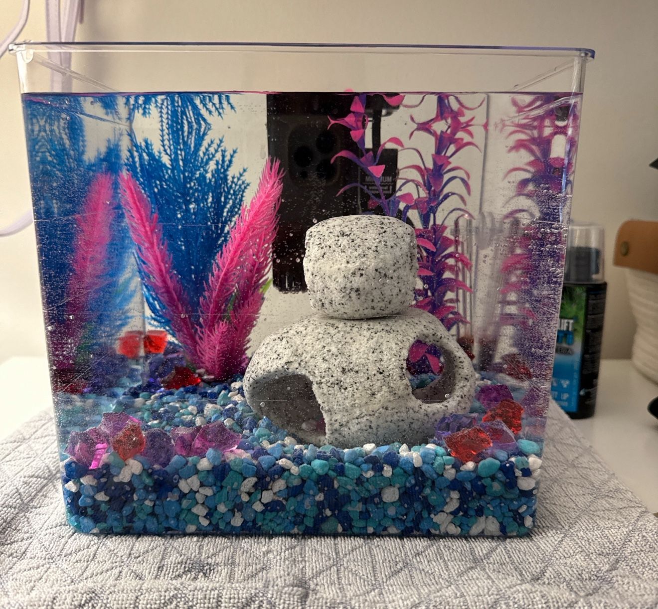 2.5 Gallon Fish Tank and supplies