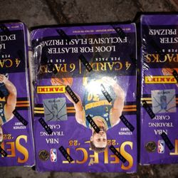 SELECT 2022-2023 PANINI