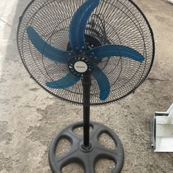 Fan 