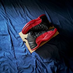 Jordan 12 Flu Game 