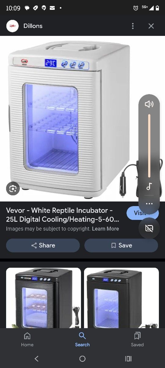 Incubator For Reptiles