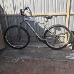 GT Karakoram 29 (Frame size: XL)