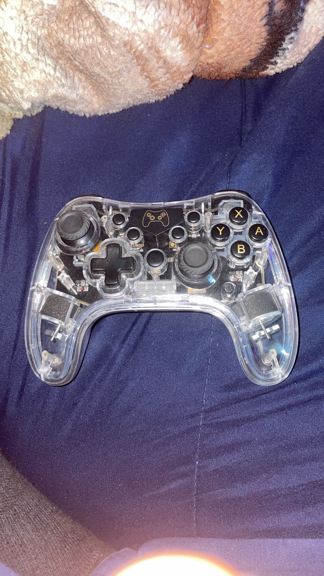 Nintendo controller