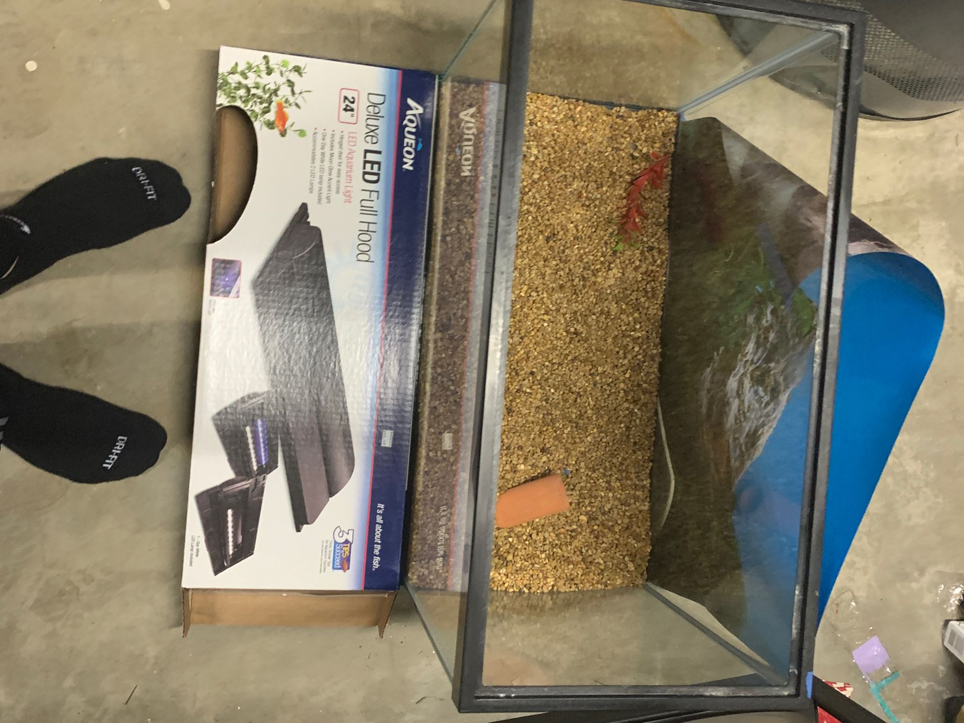 20 gallon tall fish tank and accessories