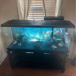 🐠Complete Premium Fish Tank Setup with Stand & Accessories - Excellent Condition!🐠